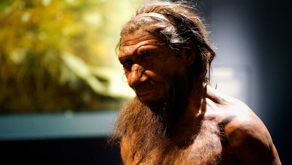 Um neandertal (imagem referencial) - Sputnik Brasil
