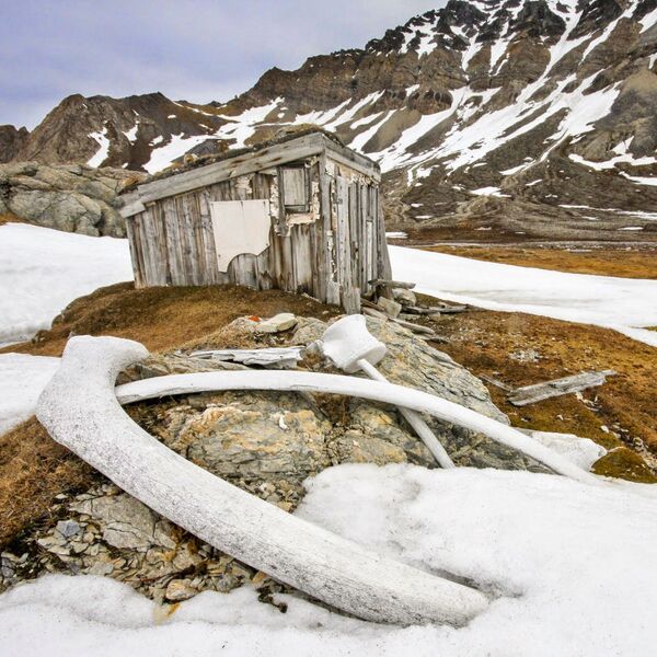 Casa do baleeiro em Spitsbergen, imagem do fotógrafo Chris Dobbs - Sputnik Brasil