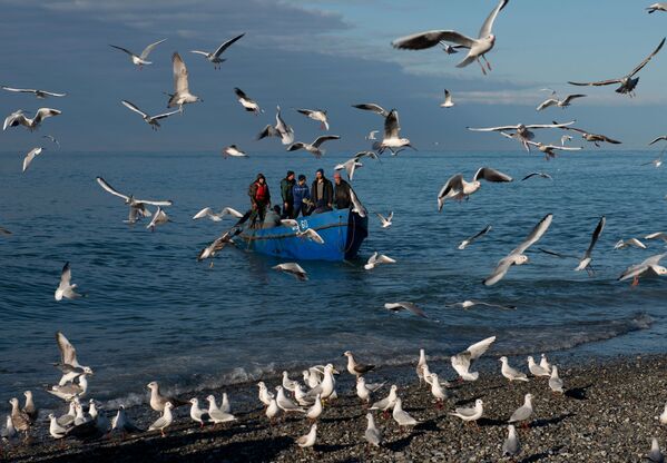 Pescadores retornam após pesca no mar Negro, em Sochi (Rússia) - Sputnik Brasil