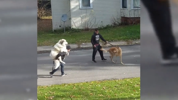 Homem carrega cão nas costas durante passeio - Sputnik Brasil