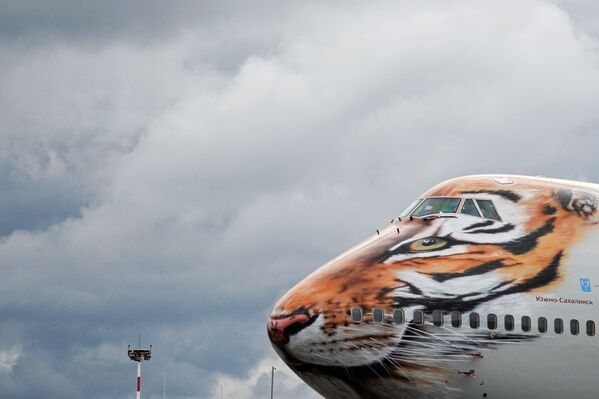 O Boeing 747-400 da empresa russa Rossiya com cara de tigre pintada na parte frontal do veículo - Sputnik Brasil