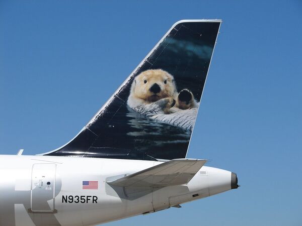 Lontra branca pintada na cauda da aeronave da companhia aérea norte-americana Frontier Airlines - Sputnik Brasil