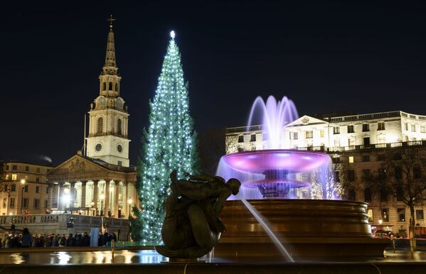 Árvore de Natal na Trafalgar Square em Londres - Sputnik Brasil