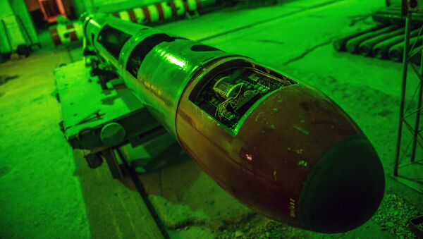 Torpedo no museu - Sputnik Brasil