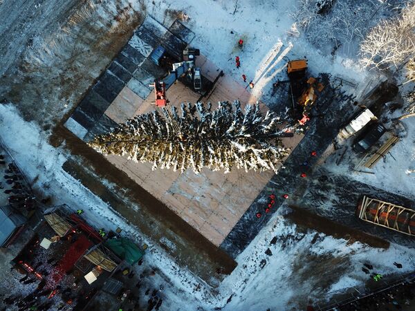 Corte do pinheiro de 100 anos de idade, com 27 metros de altura, que será colocado no centro de Moscou, Rússia, 18 de dezembro de 2018 - Sputnik Brasil