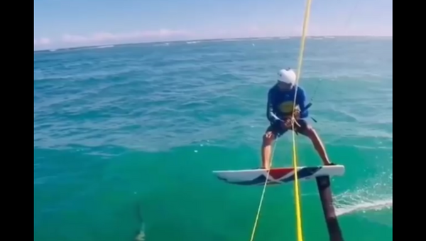 Momento arrepiante em que kitesurfista 'atropela' tubarão - Sputnik Brasil