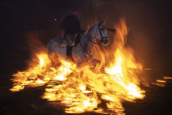 Cavalo antes do início do festival Las Luminarias na Espanha - Sputnik Brasil