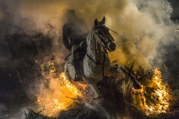 Cavaleiro atravessa o fogo no festival Las Luminarias, na vila espanhola de San Bartolomé de Pinares - Sputnik Brasil