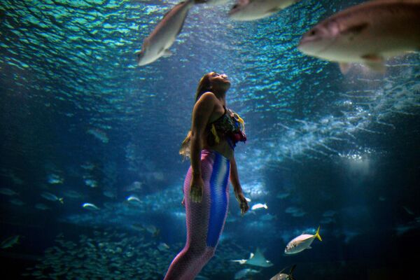 Estudante brasileira de Biologia Marinha Isabela Cardoso, de 21 anos, nada como sereia no aquário do Rio de Janeiro (AquaRio) para chamar atenção para a contaminação dos oceanos - Sputnik Brasil