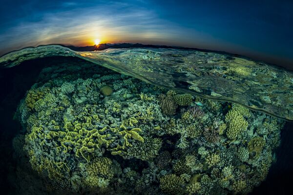 Pôr do Sol no campo de corais no recife Gordon, no Egito, 2º lugar do concurso - Sputnik Brasil