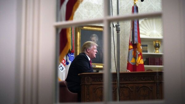 Presidente dos EUA, Donald Trump, visto através da janela da Sala Oval, Washington, EUA, 8 de janeiro de 2018 - Sputnik Brasil