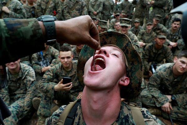 Militar come minhocas durante os treinamentos de sobrevivência, em 14 de fevereiro de 2019, na Tailândia - Sputnik Brasil
