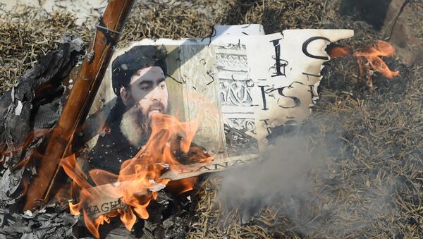 Manifestantes muçulmanos xiitas indianos queimam uma efígie do líder do grupo Estado Islâmico, Abu Bakr al-Baghdadi, durante um protesto em Nova Délhi. - Sputnik Brasil