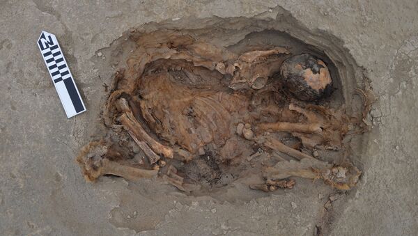 Esqueletos de criança e de espécies de camelídeos enterrados durante rituais de sacrifício no Peru, datado do século XV - Sputnik Brasil