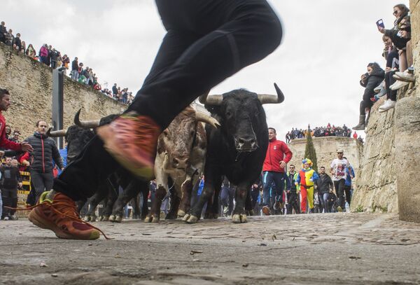 Pessoas correm de touros pelas ruas durante o Carnaval Del Toro, em Ciudad Rodrigo, Espanha - Sputnik Brasil