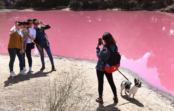 Pessoas tirando fotos perto de um lago que ficou com a cor rosa devido a um fenômeno natural surpreendente, em Melbourne, Austrália, 4 de março de 2019 - Sputnik Brasil