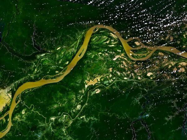 Rio Amazonas, que corre pela América do Sul, é um dos rios mais extensos do mundo com 6,4 mil quilômetros de comprimento. A imagem do rio foi tirada por satélites - Sputnik Brasil