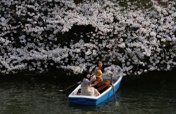 Jovens tiram selfie sentadas em um barco perto de uma sakura florescente, em Tóquio - Sputnik Brasil
