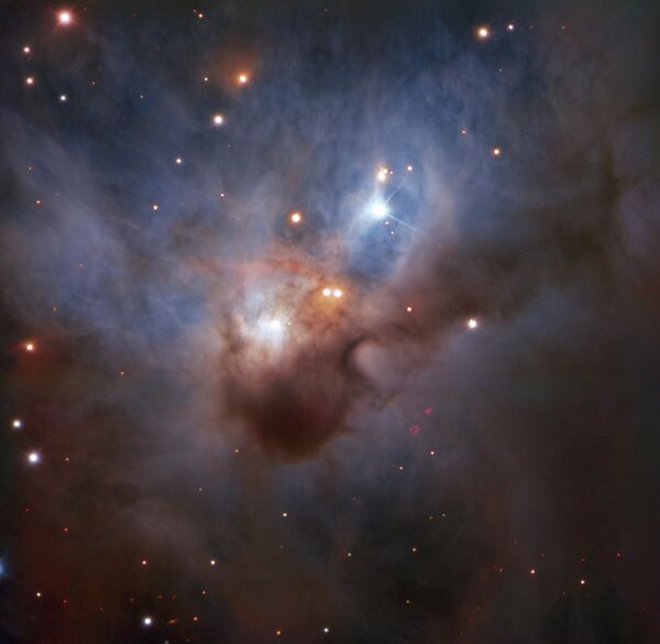 Nebulosa NGC 1788, também conhecida como Morcego, na constelação de Orion - Sputnik Brasil