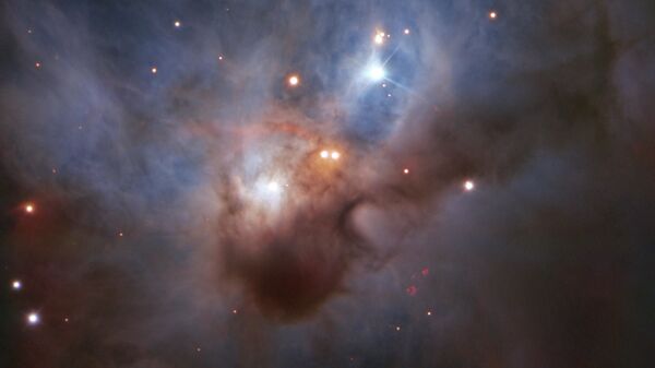 Nebulosa NGC 1788, também conhecida como Morcego, na constelação de Orion - Sputnik Brasil