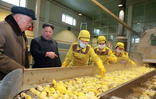 Kim Jong-un inspeciona produção de farinha de batata - Sputnik Brasil
