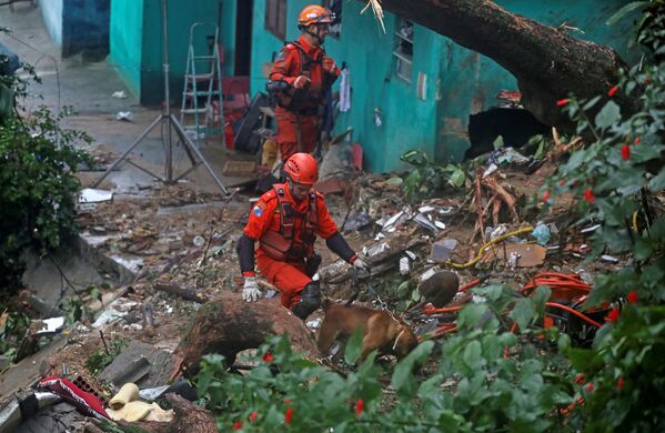 Equipe de resgate com cães em área de deslizamento de terra no Rio de Janeiro - Sputnik Brasil