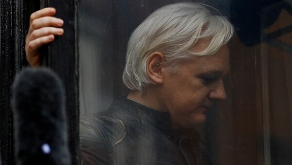 O fundador do WikiLeaks, Julian Assange, na Embaixada do Equador em Londres - Sputnik Brasil