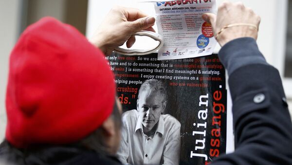 Apoiante de Julian Assange, fundador do portal WikiLeaks, segurando cartaz, Londres, Reino Unido, 14 de novembro de 2016 - Sputnik Brasil
