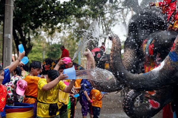 Elefantes e pessoas brincam com água na Tailândia - Sputnik Brasil