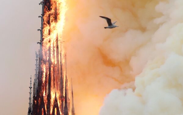 Um grande incêndio na Catedral de Notre-Dame começou no 15 de abril - Sputnik Brasil