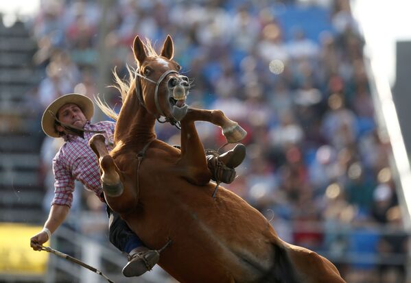 Gaúcho monta cavalo durante celebrações em Montevidéu, Uruguai, 17 de abril de 2019 - Sputnik Brasil