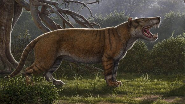 Imagem artística do antigo predador Simbakubwa kutokaafrika, o gigantesco mamífero carnívoro que viveu há 22 milhões de anos na África - Sputnik Brasil