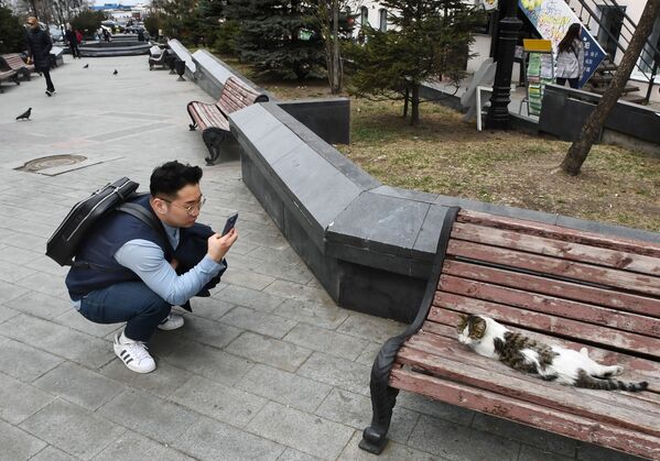 Turista fotografa um gato deitado em um banco na cidade russa de Vladivostok - Sputnik Brasil