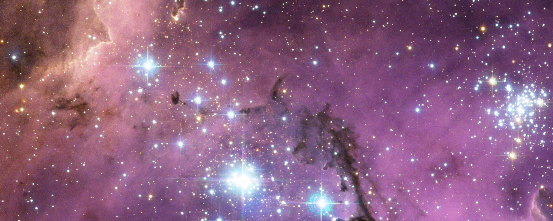 Grande Nuvem de Magalhães é uma galáxia anã satélite que orbita a Via Láctea - Sputnik Brasil, 1920, 04.04.2022