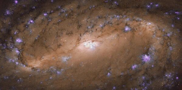 Foto da galáxia espiral NGC 2903 - Sputnik Brasil