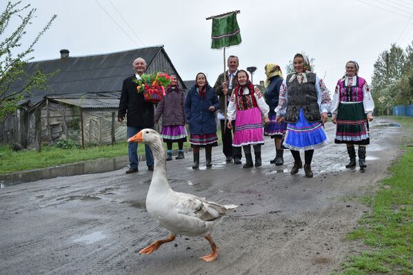 Um ganso caminha na estrada, enquanto aldeões bielorrussos participam do rito religioso Yuriev Den (Dia de Yuri) - Sputnik Brasil