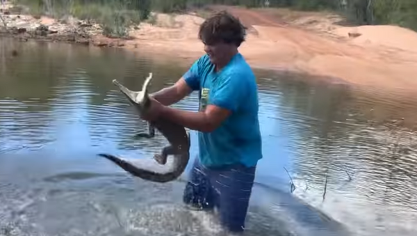 Caçador australiano pega crocodilo de 1,5 metro com as próprias mãos - Sputnik Brasil