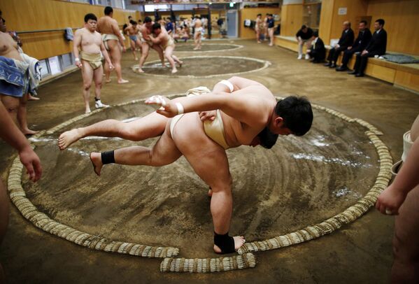 Estudantes universitários se exercitam no clube de sumo, no Japão, 20 de maio de 2019 - Sputnik Brasil