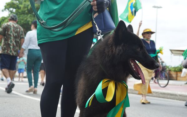 Cão com fitas coloridas verde e amarelo durante protesto favorável a Jair Bolsonaro. - Sputnik Brasil