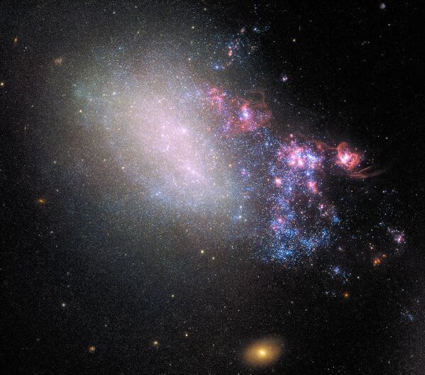 Galáxia NGC 4485 na constelação de Cães de Caça (Canes Venatici) que até hoje preservou os traços de colisão com a galáxia vizinha que ocorreu há milhões de anos - Sputnik Brasil