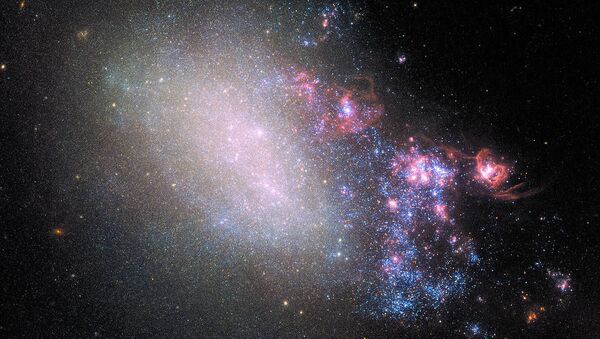 Galáxia NGC 4485 na constelação de Cães de Caça (Canes Venatici) que até hoje preservou os traços de colisão com a galáxia vizinha que ocorreu há milhões de anos  - Sputnik Brasil
