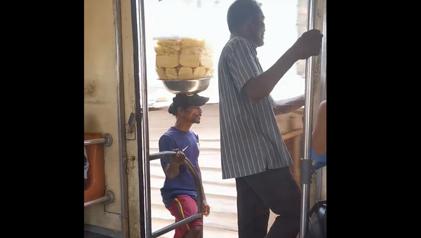 Vendedor de abacaxi em trem no Sri Lanka - Sputnik Brasil