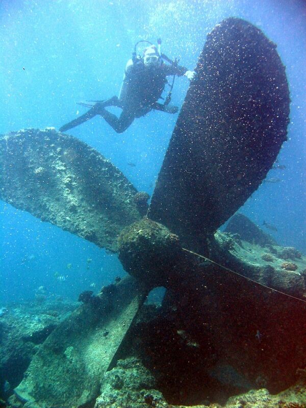 Mergulhador durante submersão até um navio afundado, no atol Pearl e Hermes, Havaí - Sputnik Brasil