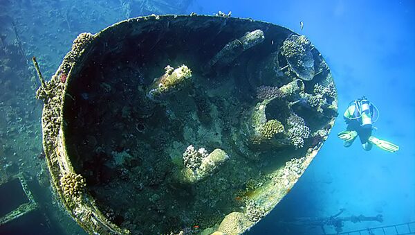 Navio afundado Giannis D no recife Abu Nuhas, no mar Vermelho (imagem referencial) - Sputnik Brasil