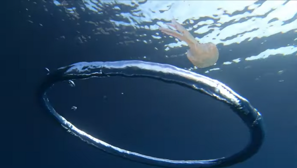 Água-viva é apanhada por uma bolha de ar em um redemoinho vertiginoso - Sputnik Brasil