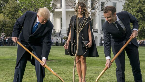 Presidente dos EUA Donald Trump, sua esposa Melania e presidente da França Emmanuel Macron plantam carvalho no gramado em frente à Casa Branca - Sputnik Brasil