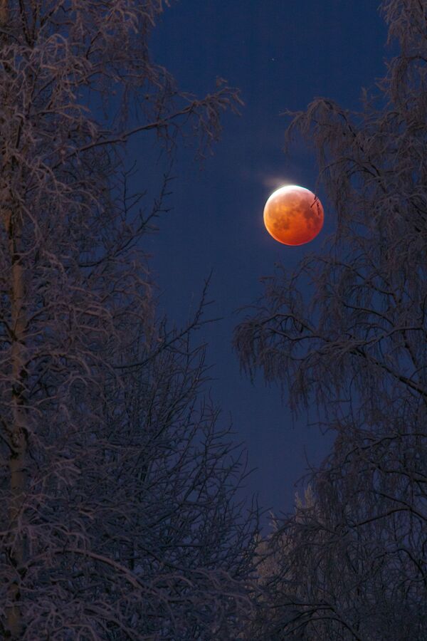 Foto da Lua de Sangue feita pelo fotógrafo finlandês Keijo Laitala - Sputnik Brasil