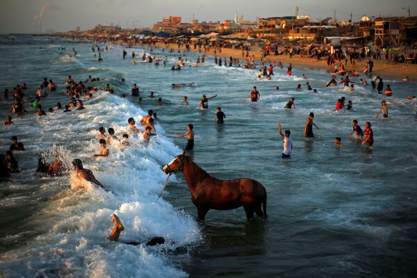 Palestino lava seu cavalo nas águas do mar Mediterrâneo
 - Sputnik Brasil