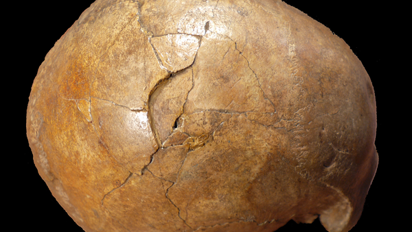 Restos mortais fossilizados do homem do Paleolítico conhecido como Cioclovina calvaria - Sputnik Brasil