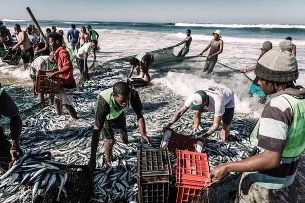 Moradores locais pescam com redes em praia de Amanzimtoti, na África do Sul - Sputnik Brasil